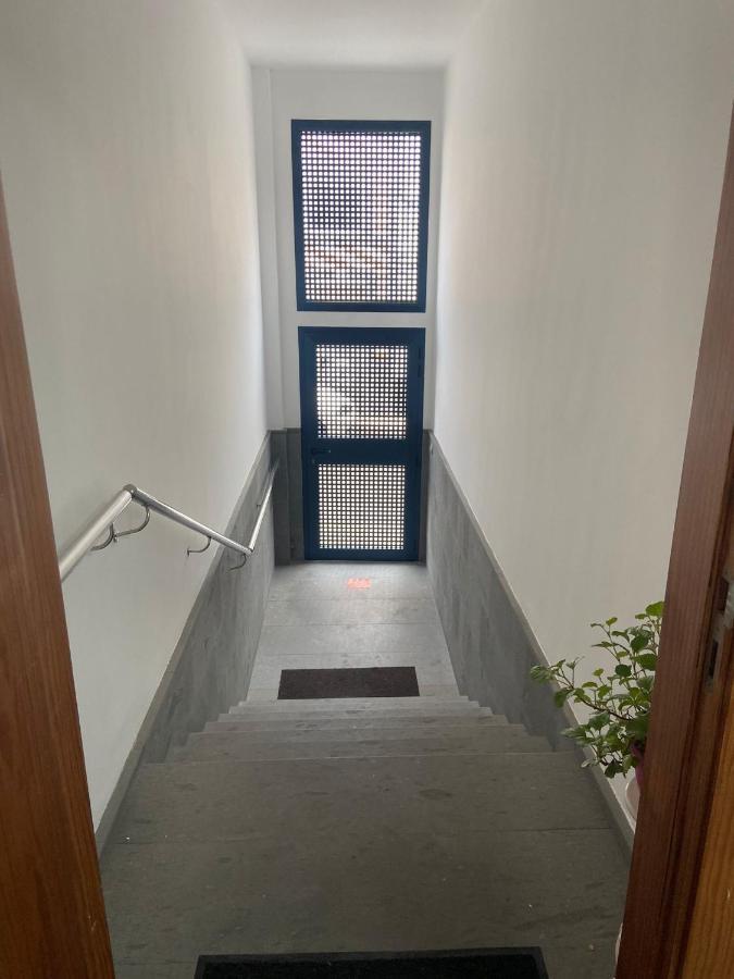 Canary Arava Apartment